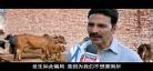厕所英雄国语在线观看_厕所英雄在线观看完整版
